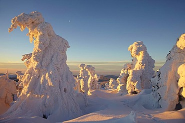 Winter morning on Mt. Brocken, Saxony-Anhalt, Germany, Europe