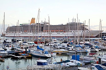 Cruise ship Arcadia in the marina, Funchal, Madeira, Portugal, Europe