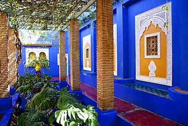 Jardin Majorelle, Majorelle Garden, botanic gardens, Marrakech, Morocco, Africa