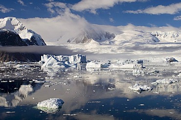 Icebergs, Gerlache strait, Antarctic Peninsula, Antarctica