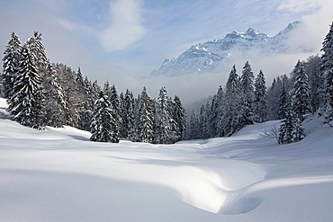 View to Mt. Saentis with high fog and snow, Alpstein, Switzerland, Europe