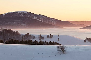 Winter landscape with evening light and fog with a view on Mt. Belchen, southern Black Forest, Black Forest, Baden-Wuerttemberg, Germany, Europe