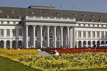 Bundesgartenschau 2011, Federal Garden Show 2011, in front of the Electoral Palace in Koblenz, Rhineland-Palatinate, Germany, Europe