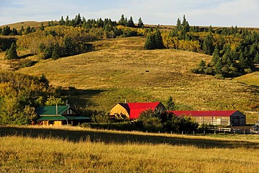 Cowboy ranch on the prairie, Saskatchewan, Canada