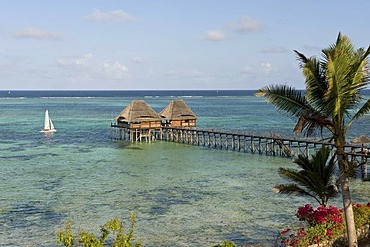 Pier over a lagoon on the south coast of Zanzibar, Tanzania, Africa