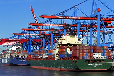 Container ships, Margrit Rickmers and CMA CGM Leo, being loaded with containers at the Container Terminal Burchardkai in the Port of Hamburg on the Elbe River, Hamburg, Germany, Europe