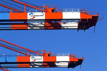 Container cranes for ships at the container terminal Eurogate, Eurokai in the port of Hamburg, Hamburg, Germany, Europe