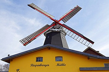 Riepenburger Muehle Boreas windmill in dutch style, Kirchwerder, Vierlande, Vier- und Marschlande, Hamburg, Germany