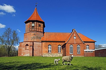 Historic St. Nicolai-Kirche church, Artlenburg, Lueneburg district, Lower Saxony, Germany, Europe