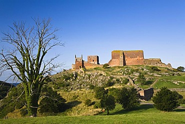 Hammershus castle ruins, Bornholm, Denmark, Europe