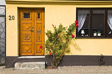 Entrance door with roses, old town of Ystad, Skane, South Sweden, Scandinavia, Europe