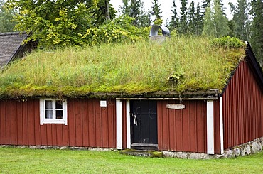 Typical swedish house with green roof, Smaland, South Sweden, Scandinavia, Europe