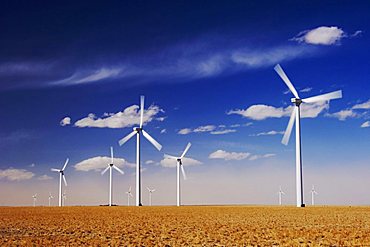 Electric windmills, wind power plant, Colorado, USA