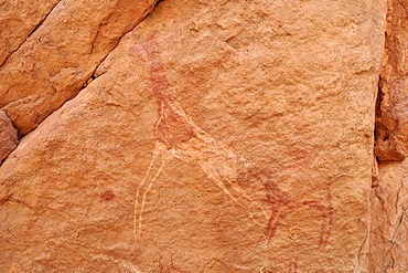 Painted Dama gazelle or red necked gazelle, neolithic rock art of the Tadrart, Tassili n'Ajjer National Park, Unesco World Heritage Site, Algeria, Sahara, North Africa