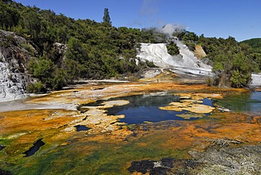 Rainbow and Cascade Terrace, Map of Africa, Orakei Korako Cave and Thermal Park, Hidden Valley, Taupo, Rotorua, North Island, New Zealand