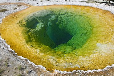 Morning Glory Pool in Upper Geyser Basin, Yellowstone National Park, Wyoming, USA