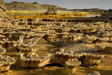 Sulphure formations, Dallol, Danakil Depression, Ethiopia, Africa