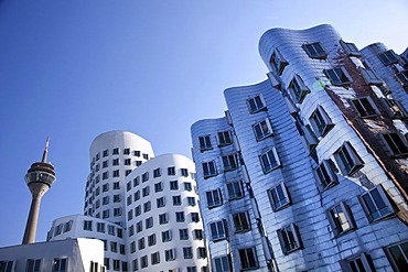 Neuer Zollhof buildings by American architect Frank Owen Gehry, Rheinturm tower at the back, Medienhafen port in Duesseldorf, North Rhine-Westphalia, Germany, Europe