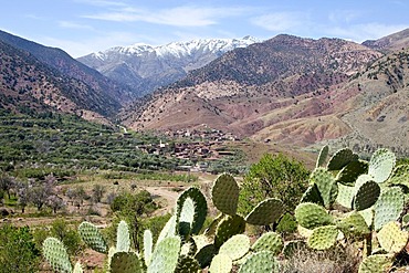 Mountain village with terraces near the Tizi-n-Test mountain pass, Tizi-n-Test mountain pass road in the High Atlas Mountains near Asni, Morocco, Africa