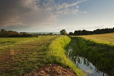 Durleigh Brook at the edge of The Meads in the foreground and the Quantock Hills at back, Bridgwater, Somerset, England, United Kingdom, Europe