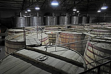 Wooden barrels, casks, Capel, Pisco distillery, national drink, Vicuna, Valle d'Elqui, Elqui Valley, La Serena, Norte Chico, northern Chile, Chile, South America