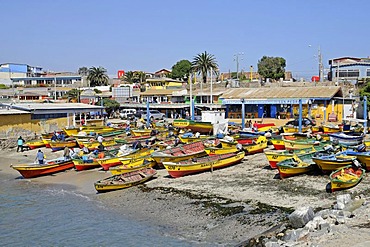 Colorful fishing boats, beach, port, fishing port, coast, Los Vilos, Pichidangui, small seaside resort, Norte Chico, northern Chile, Chile, South America