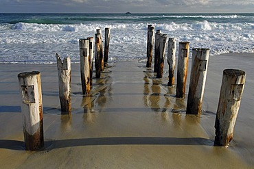 Rotten wood poles leading into the South Pacific Ocean in Saint Kilda Beach, Dunedin, South Island, New Zealand