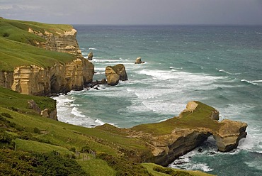 Coast of the South Pacific Ocean at Tunnel Beach, South Island, New Zealand