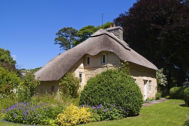 Traditional thatched roof cottage in Merthyr Mawr, Wales, United Kingdom, Europe