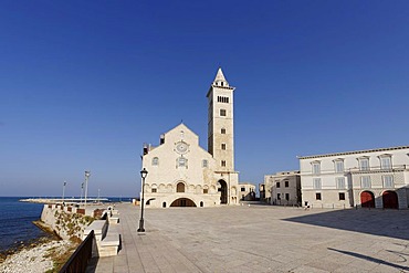 West facade of the cathedrale of San Nicola Pellegrino, Trani, Apulia or Puglia, South Italy, Europe