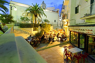 Twilight in Vieste, Gargano, Apulia, Puglia, Italy, Europe