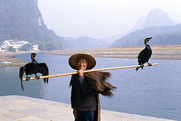 Cormorant Fisherman with birds on fishing pole, Li River, Guilin, Yangshou, Guangxi Province, China, Asia