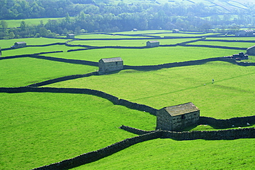 Swaledale, Yorkshire Dales National Park, Yorkshire, England, United Kingdom, Europe