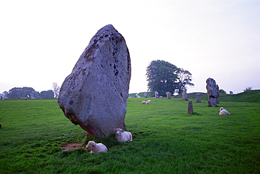 Avebury Stone Circle, UNESCO World Heritage Site, Avebury, Wiltshire, England, United Kingdom, Europe