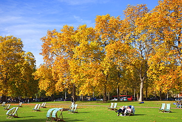 Autumn leaves and deck chairs, St. James's Park, London, England, United Kingdom, Europe