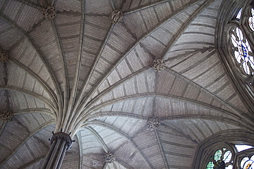 Fan vaulted ceiling of the Chapter House, Westminster Abbey, London, England, United Kingdom, Europe