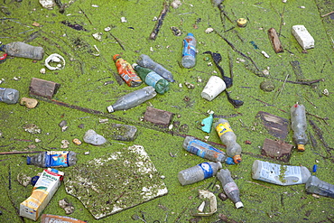 Pollution in the River Thames, London, England, United Kingdom, Europe