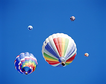 Colourful hot air balloons in blue sky, Albuquerque, New Mexico, United States of America, North America