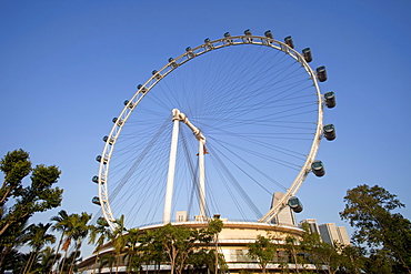 Singapore Flyer, Singapore, Southeast Asia, Asia