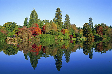 Autumn colours in Sheffield Park Garden, Sussex, England, United Kingdom, Europe