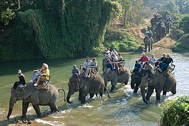 Elephant riding, Thai Elephant Conservation Centre, Chiang Mai, Thailand, Southeast Asia, Asia