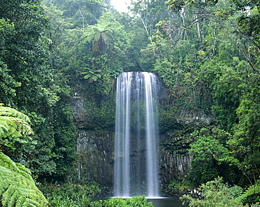 Milla Milla Falls, Cairns, Queensland, Australia, Pacific