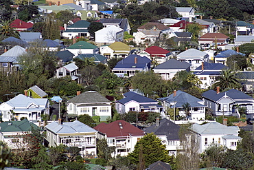 Typical suburban housing, Auckland, North Island, New Zealand