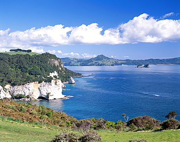 Cathedral Cove, Coromandel Peninsula, Cathedral Cove, Coromandel, North Island, New Zealand, Pacific