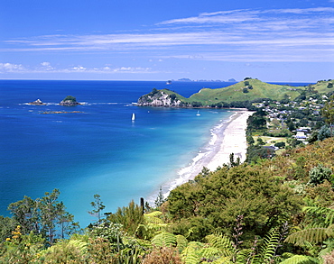 Hahei Beach, Coromandel Peninsula, Coromandel, North Island, New Zealand, Pacific