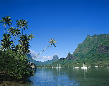 Cooks Bay, Moorea, Society Islands, French Polynesia, South Pacific, Pacific