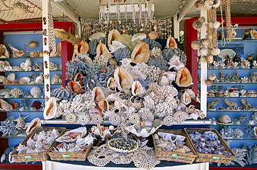 Souvenir seashells, Rovinj, Istria Region, Croatia, Europe