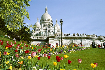 Tulips in front of the Sacre Coeur (Basilique du Sacre-Coeur), Montmartre, Paris, France, Europe