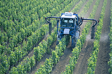 Tractor spraying vineyards, St. Emilion, Bordeaux, Aquitaine, France, Europe