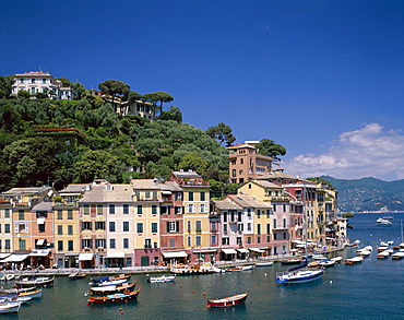 Village and harbour, Portofino, Liguria, Italy, Mediterranean, Europe